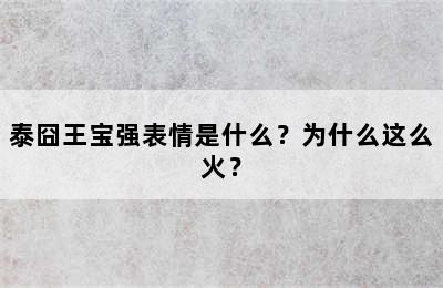 泰囧王宝强表情是什么？为什么这么火？