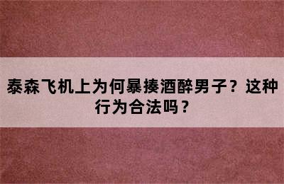 泰森飞机上为何暴揍酒醉男子？这种行为合法吗？