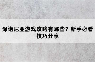 泽诺尼亚游戏攻略有哪些？新手必看技巧分享