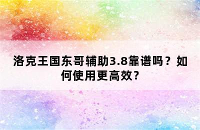 洛克王国东哥辅助3.8靠谱吗？如何使用更高效？