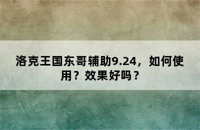 洛克王国东哥辅助9.24，如何使用？效果好吗？