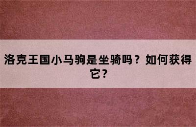 洛克王国小马驹是坐骑吗？如何获得它？