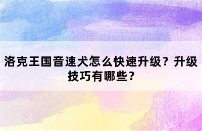 洛克王国音速犬怎么快速升级？升级技巧有哪些？