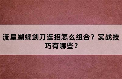 流星蝴蝶剑刀连招怎么组合？实战技巧有哪些？