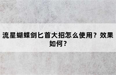 流星蝴蝶剑匕首大招怎么使用？效果如何？