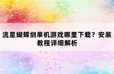 流星蝴蝶剑单机游戏哪里下载？安装教程详细解析