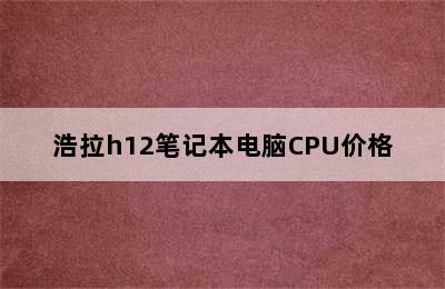 浩拉h12笔记本电脑CPU价格