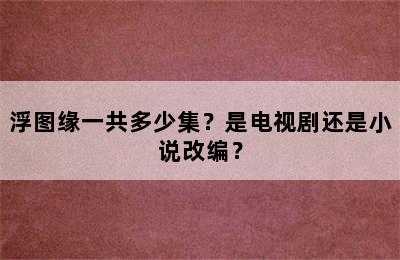 浮图缘一共多少集？是电视剧还是小说改编？