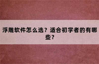 浮雕软件怎么选？适合初学者的有哪些？