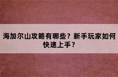 海加尔山攻略有哪些？新手玩家如何快速上手？