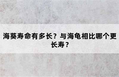 海葵寿命有多长？与海龟相比哪个更长寿？