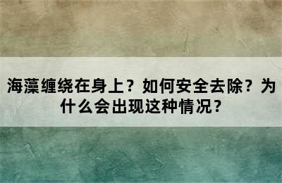 海藻缠绕在身上？如何安全去除？为什么会出现这种情况？