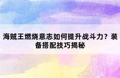 海贼王燃烧意志如何提升战斗力？装备搭配技巧揭秘