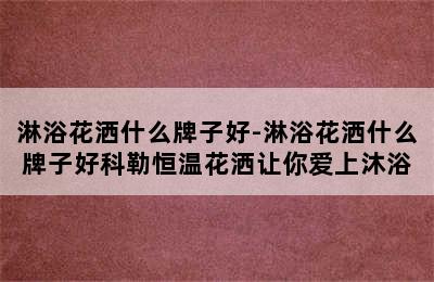 淋浴花洒什么牌子好-淋浴花洒什么牌子好科勒恒温花洒让你爱上沐浴