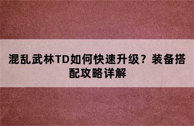 混乱武林TD如何快速升级？装备搭配攻略详解