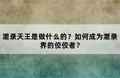 混录天王是做什么的？如何成为混录界的佼佼者？