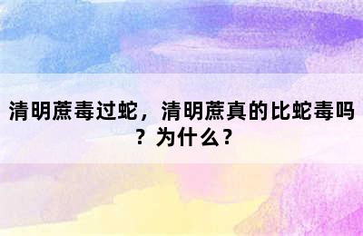 清明蔗毒过蛇，清明蔗真的比蛇毒吗？为什么？