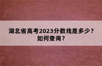 湖北省高考2023分数线是多少？如何查询？