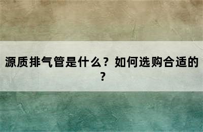 源质排气管是什么？如何选购合适的？