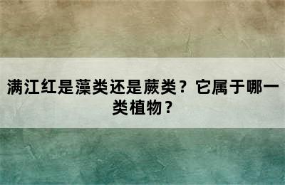 满江红是藻类还是蕨类？它属于哪一类植物？