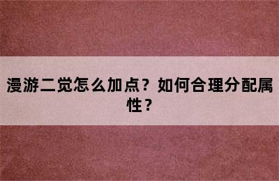 漫游二觉怎么加点？如何合理分配属性？