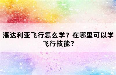 潘达利亚飞行怎么学？在哪里可以学飞行技能？