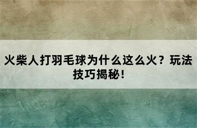 火柴人打羽毛球为什么这么火？玩法技巧揭秘！