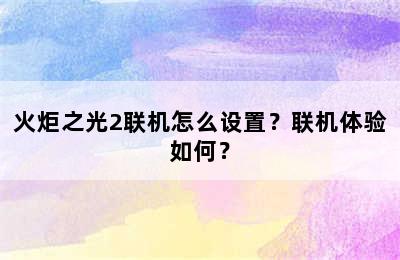 火炬之光2联机怎么设置？联机体验如何？