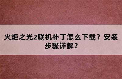 火炬之光2联机补丁怎么下载？安装步骤详解？