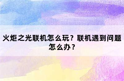 火炬之光联机怎么玩？联机遇到问题怎么办？