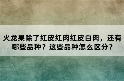 火龙果除了红皮红肉红皮白肉，还有哪些品种？这些品种怎么区分？