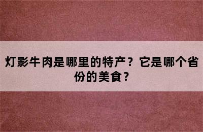 灯影牛肉是哪里的特产？它是哪个省份的美食？