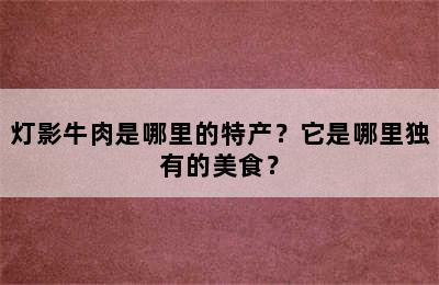 灯影牛肉是哪里的特产？它是哪里独有的美食？