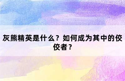 灰熊精英是什么？如何成为其中的佼佼者？