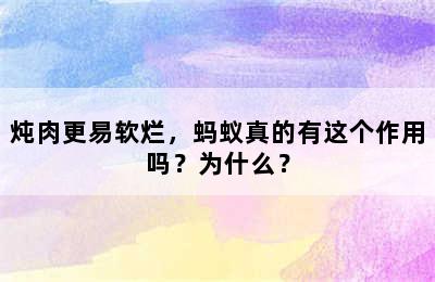 炖肉更易软烂，蚂蚁真的有这个作用吗？为什么？