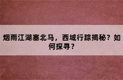 烟雨江湖塞北马，西域行踪揭秘？如何探寻？