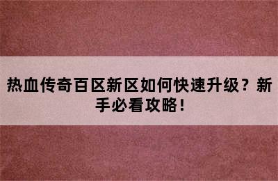 热血传奇百区新区如何快速升级？新手必看攻略！