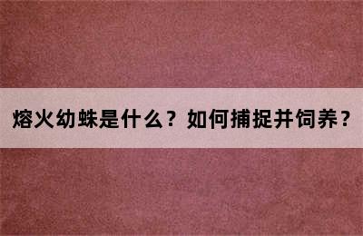 熔火幼蛛是什么？如何捕捉并饲养？