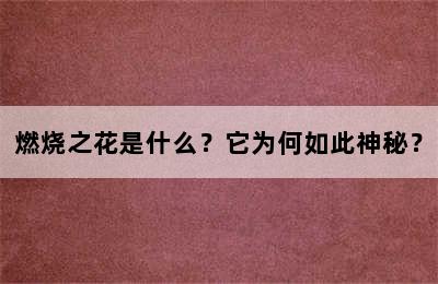 燃烧之花是什么？它为何如此神秘？