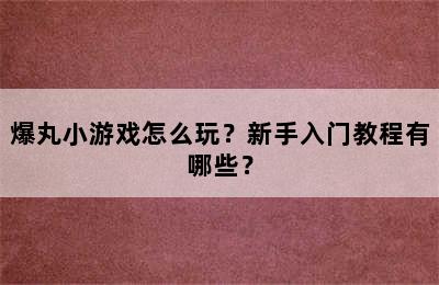 爆丸小游戏怎么玩？新手入门教程有哪些？