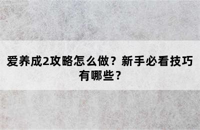 爱养成2攻略怎么做？新手必看技巧有哪些？