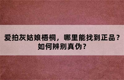 爱拍灰姑娘梧桐，哪里能找到正品？如何辨别真伪？