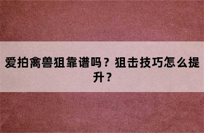 爱拍禽兽狙靠谱吗？狙击技巧怎么提升？