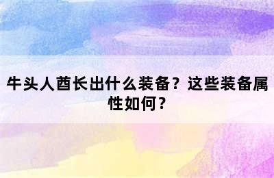 牛头人酋长出什么装备？这些装备属性如何？