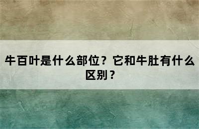 牛百叶是什么部位？它和牛肚有什么区别？