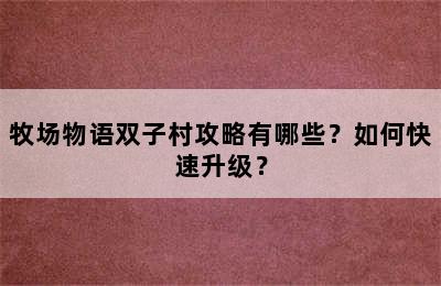 牧场物语双子村攻略有哪些？如何快速升级？