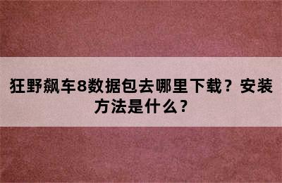 狂野飙车8数据包去哪里下载？安装方法是什么？