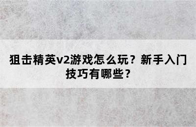 狙击精英v2游戏怎么玩？新手入门技巧有哪些？