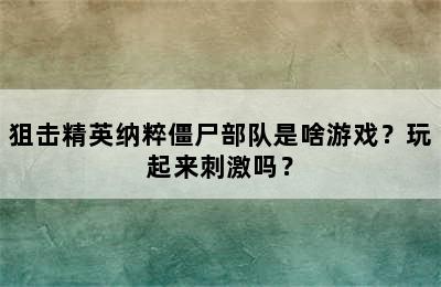 狙击精英纳粹僵尸部队是啥游戏？玩起来刺激吗？