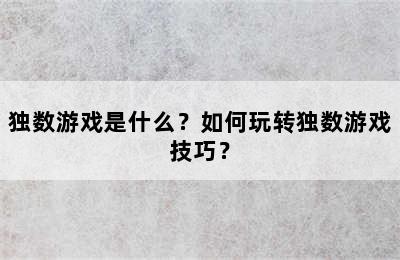 独数游戏是什么？如何玩转独数游戏技巧？